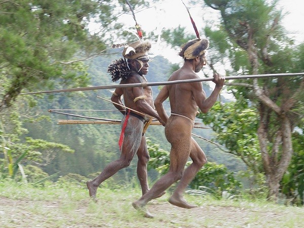 dung qua bau de bao ve duong vat hinh 12