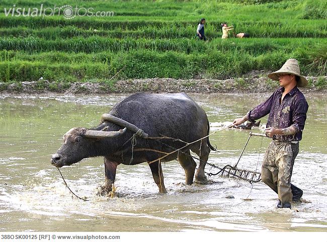 Day gieo mua thuong kho truyen ngan